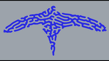 Video Curve Growth from the LTH Tutorials