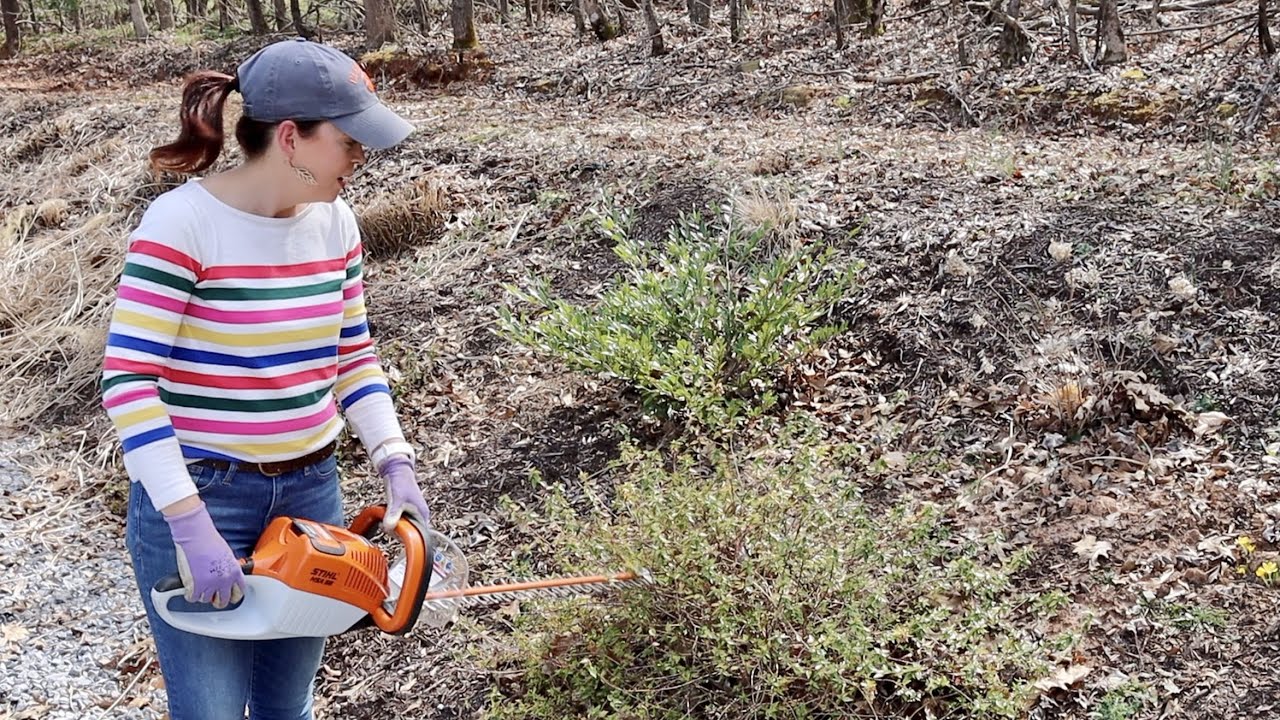 Pruning Shrubs & Perennial Grasses // Gardening with Creekside - YouTube