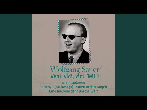 Wolfgang Sauer — Du hast ja Tränen in den Augen