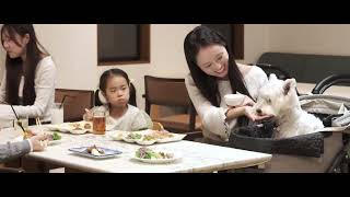 コンセプト | KAREN みなかみたくみの里 with Dog | 群馬県みなかみ町