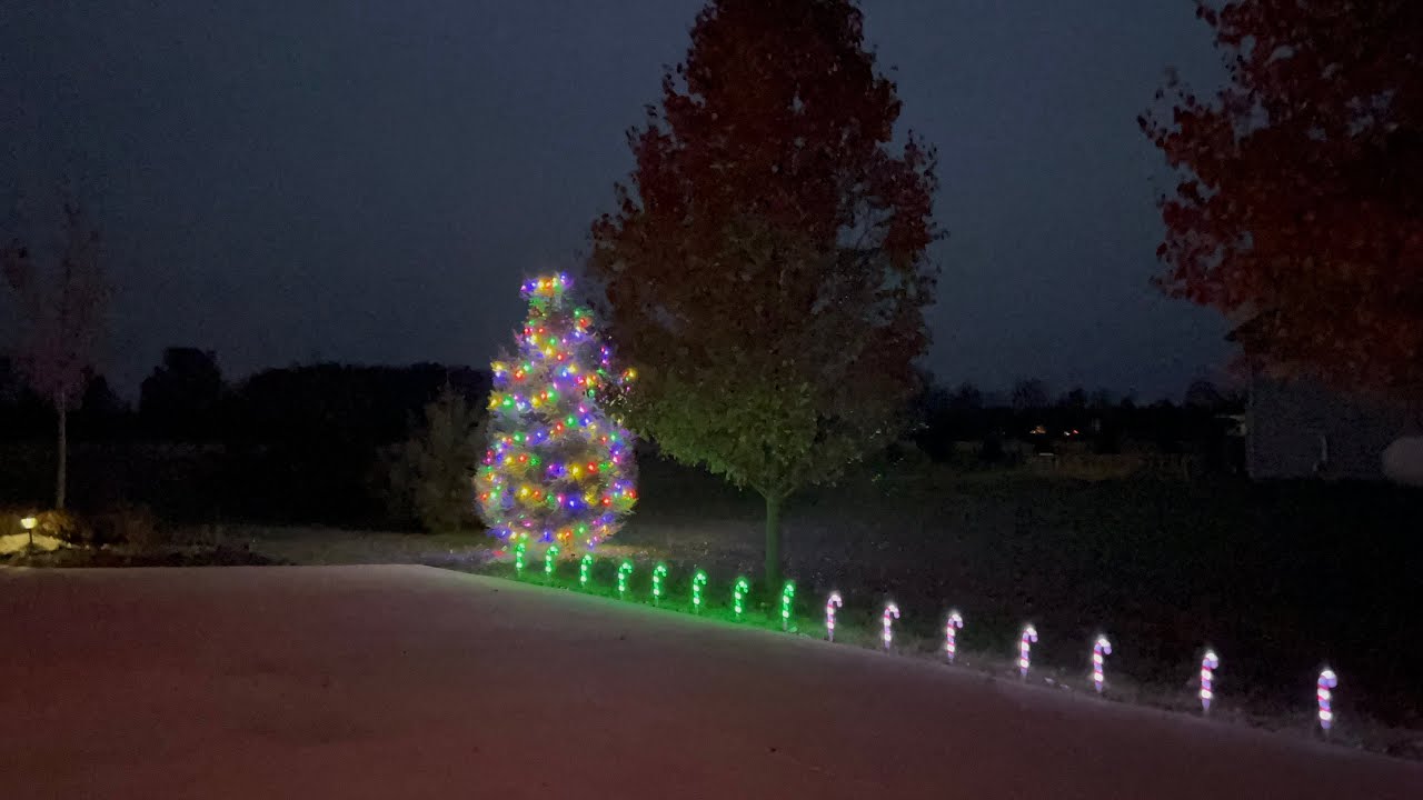 Hanging Christmas Lights on Outside Trees / Outside Christmas tree 