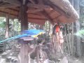 Parrot Islands