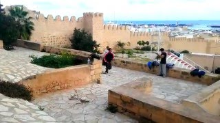 Wiheb Mokni --- Move As You Like --- Parkour Team Vortex