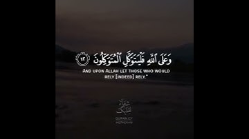 قرآن كريم بصوت القارئ مشاري فالح تلاوة  هادئ ارح قلبك 💚🌿حالة واتس اسلامية /ستوريات انستغرام