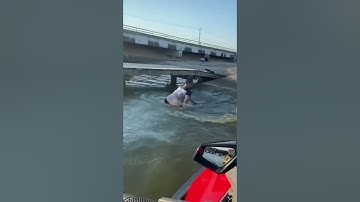 clip hài hước vui nhộn triệu vew | P768 Người Đàn Ông Thót Tim Lội Xuống Nước dongau channel #shorts