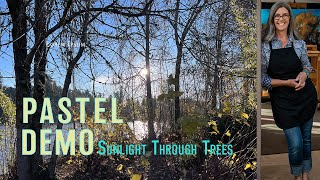 Free Pastel Demo of Sunlight Through Trees screenshot 3