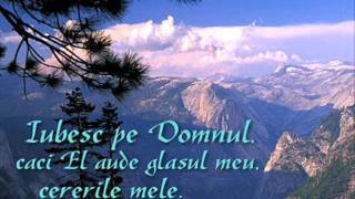 Credinta Te Va Mantui