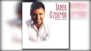 Taner Özdemir - Ali Değil Midir Resimi