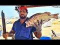 Bulberlips Snapper Fish Cutting Skill | Mr.Sampath