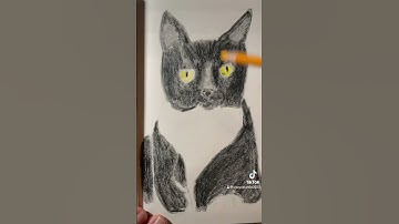 Tuxedo cat :). #cat #catart #art #felineart #goodnightight #catartist #drawing #tuxedocat