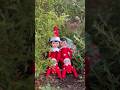 Elf on a shelf day 13! Xmas trees #christmas#elfontheshelf#christmasdecor#family#christmaskids#kids