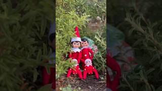 Elf on a shelf day 13! Xmas trees #christmas#elfontheshelf#christmasdecor#family#christmaskids#kids
