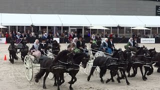 Amsterdam Museumplein Polo Event:: De Fryske Quadrille