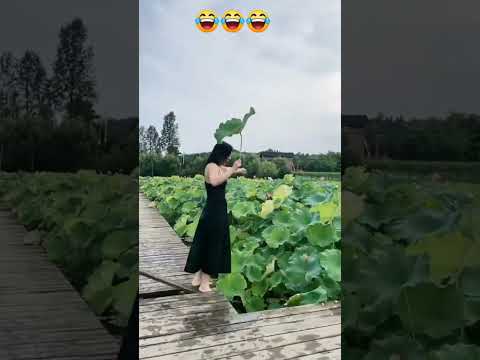 funny moments 🤣😂🤣🤣 #funny #funnyshorts #funnyvideo