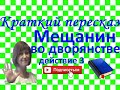 Краткий пересказ Мольер &quot;Мещанин во дворянстве&quot;