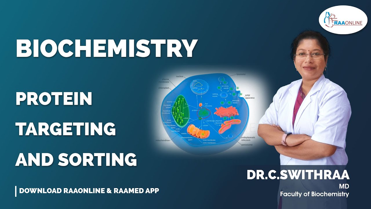 Protein Targeting and Sorting