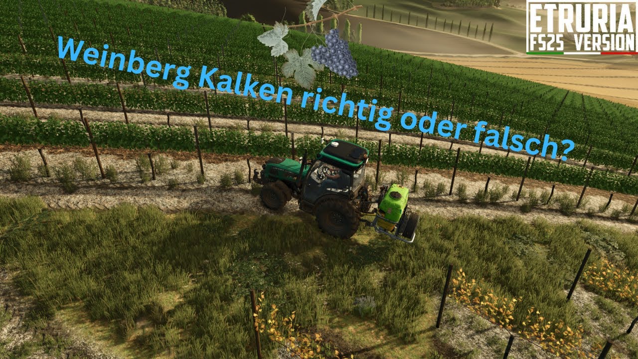 weinberg Etruia #20 Kalken richtig oder falsch?