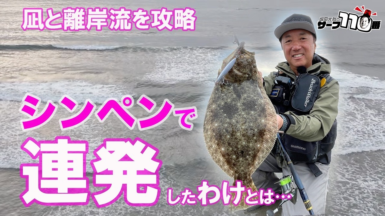Beach Walker Wedge - SALT｜製品情報｜DUO International / ルアー