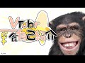 【自己紹介】新感覚!新類人猿Vtuber【一問一答自己紹介/新人Vtuber】
