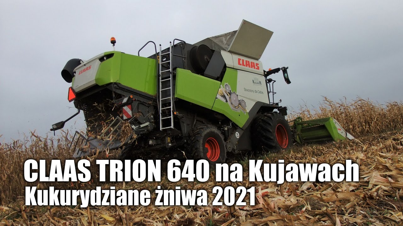 maxresdefault CLAAS TRION 640 na Kujawach   kukurydziane żniwa 2021   VIDEO