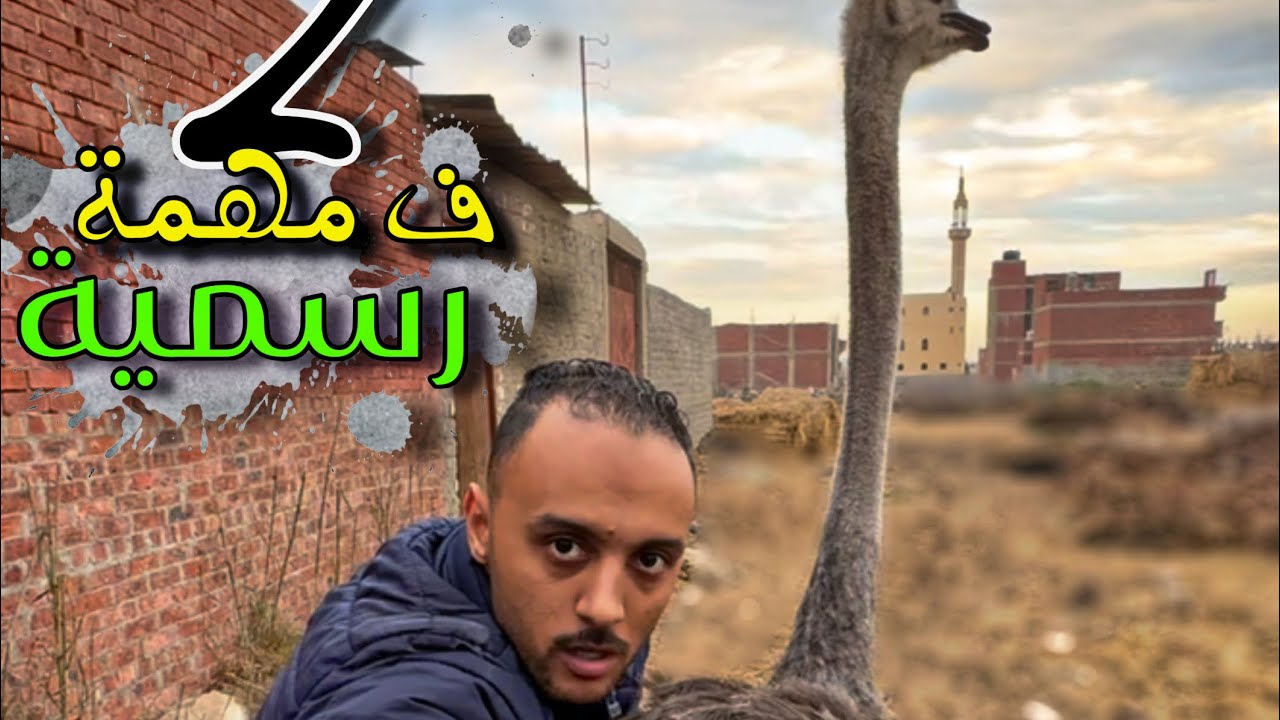 يوم في الشارع انا والنعام 🙆(نزلت النعام الشارع والناس اتفرجت علينا )