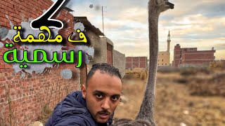 يوم في الشارع انا والنعام 🙆(نزلت النعام الشارع والناس اتفرجت علينا )