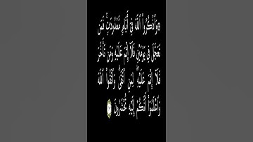 تلاوة حجازية هادئة من سورة البقرة الاية 203