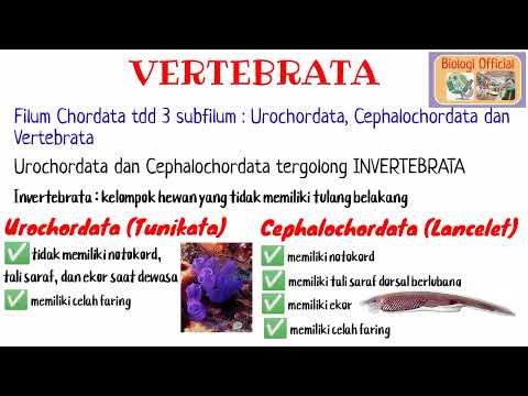 MENGENAL VERTEBRATA || CIRI-CIRI DAN KLASIFIKASI VERTEBRATA