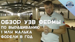 видео: Обзор УЗВ ФЕРМЫ ПО ВЫРАЩИВАНИЮ 1 млн МАЛЬКА ФОРЕЛИ в год картинка: Обзор УЗВ ФЕРМЫ ПО ВЫРАЩИВАНИЮ 1 млн МАЛЬКА ФОРЕЛИ в год