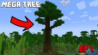 I built a MEGA TREE! Anycraft S3 E1 1