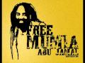 Vibes All Star - Free Mumia