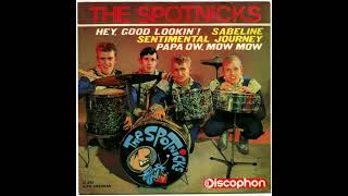 The Spotnicks - Hey Good Lookin&#39;