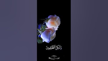 صباح الخير 💜حالات واتساب مقاطع قصيره💙قران كريم سورة الأنعام قدنعلم أنه ليحزنك🤍أحمد النفيس بدون حقوق