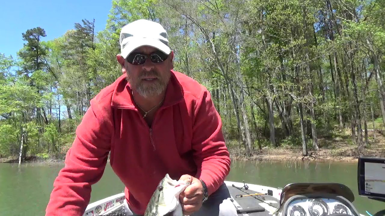 Topwater and Fluke Tuesday