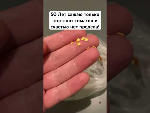 50 Лет сажаю