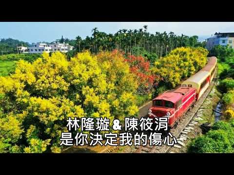 林隆璇 & 陳筱涓 ~ 是你決定我的傷心