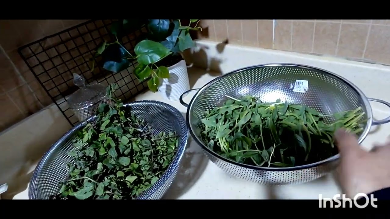 فلوق اليوم وصفه سهلة (دجاج مشوي )وسوالف...الحمد لله دائما وأبدا🥰