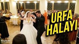 Böyle Coşku Görülmedi! Urfa Düğününde Yer Yerinden Oynadı