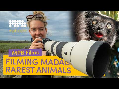 Filming Madagascar's Rarest Animals | Mpb Films