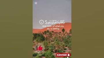 #كرزاز #اكسبلور #المصحف #صلوا_على_النبي #لايك #تلاوة_خاشعة #راحة_نفسية #قران_كريم #تصويري
