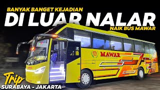 BANYAK HAL DI LUAR NALAR!! Trip PO Mawar Surabaya - Jakarta : Berangkat Paling Malam dari Bungurasih