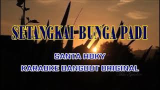 KARAOKE SETANGKAI BUNGA PADI ORIGINAL MUSIK DANGDUT