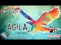 Jovit Leonerio - Agila Lyric Video (Tunog Kadayawan 2017)