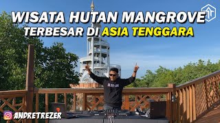 DJ LIVE PERFORM DI MENARA HUTAN MANGROVE TERBESAR DI ASIA TENGGARA !!! KOTA LANGSA, ACEH, INDONESIA