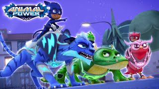 meet the pj riders animal power season 5 new pj masks official