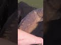 Adam’s new pb and what a fish 🤩