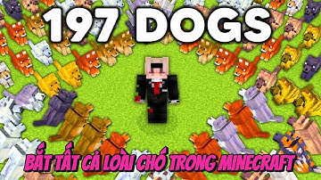 TÔI ĐÃ THU THẬP TẤT CẢ LOÀI CHÓ TRONG MINECRAFT PHIÊN BẢN MỚI!