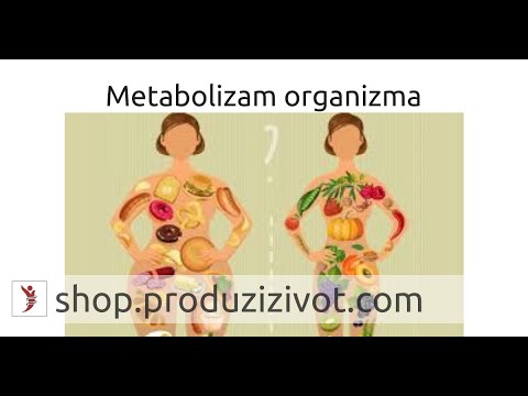 Video: Metaboličko Stanje: Upute, Primjeri, Prednosti I Nedostaci