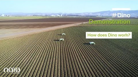 #Dino - 2020 - Dino Field Demonstration - FIRA20