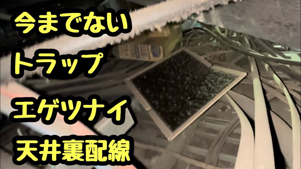 日本の電気工事士は久しぶりの飲食店での配線。電気工事士が1番恐れていた飲食店の天井裏ってやつに直面して。やはりビビりました。